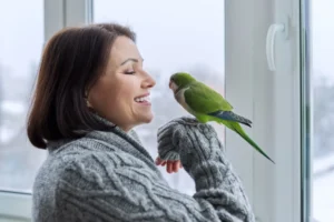 bird care guide