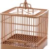 song bird cage, medium square cage, plastic bird cage, Todd Marcus Birds Exotic, canary cage, finch cage, budgie cage, small bird cage, durable bird cage, lightweight songbird cage, safe bird enclosure, easy-clean bird cage, medium songbird cage, ventilated bird cage, pet bird housing, colorful bird cage, small bird enclosure, plastic cage for birds, hygienic bird cage, portable bird cage song bird cage, medium square cage, plastic bird cage, Todd Marcus Birds Exotic, canary cage, finch cage, budgie cage, small bird cage, durable bird cage, lightweight songbird cage, safe bird enclosure, easy-clean bird cage, medium songbird cage, ventilated bird cage, pet bird housing, colorful bird cage, small bird enclosure, plastic cage for birds, hygienic bird cage, portable bird cage