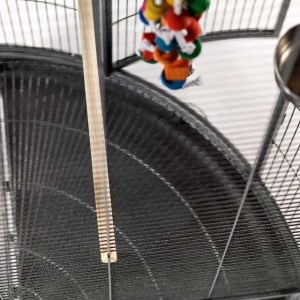 Discovery-Corner-Parrot-Cage-with-Play-Gym-Top-Antique-1-300x300 Discovery Corner Parrot Cage with Play Gym Top – Antique