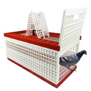 plastic bird carrier, transportation bird carrier, small bird travel cage, Todd Marcus Birds Exotic, portable bird carrier, finch carrier, canary travel cage, budgie carrier, lovebird transport cage, durable plastic bird carrier, easy-clean bird carrier, safe bird travel, vented bird carrier, lightweight bird carrier, small to medium birds, secure travel cage, bird transport container, travel cage for birds, pet bird carrier, hygienic bird carrier plastic bird carrier, transportation bird carrier, small bird travel cage, Todd Marcus Birds Exotic, portable bird carrier, finch carrier, canary travel cage, budgie carrier, lovebird transport cage, durable plastic bird carrier, easy-clean bird carrier, safe bird travel, vented bird carrier, lightweight bird carrier, small to medium birds, secure travel cage, bird transport container, travel cage for birds, pet bird carrier, hygienic bird carrier