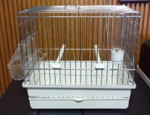 song bird cage, portable bird cage, travel bird cage, Todd Marcus Birds Exotic, lightweight bird cage, finch cage, canary cage, budgie cage, small bird cage, durable bird carrier, easy clean bird cage, compact songbird cage, safe travel cage, secure bird cage, portable aviary, bird cage with handle, outdoor bird cage, pet songbird cage, bird cage with dishes, modern bird cage song bird cage, portable bird cage, travel bird cage, Todd Marcus Birds Exotic, lightweight bird cage, finch cage, canary cage, budgie cage, small bird cage, durable bird carrier, easy clean bird cage, compact songbird cage, safe travel cage, secure bird cage, portable aviary, bird cage with handle, outdoor bird cage, pet songbird cage, bird cage with dishes, modern bird cage