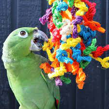 Hagen Living World Junglewood Large Bird Toy. Hagen Living World Junglewood Large Bird Toy, Junglewood Bird Toy, Hagen Bird Toy, natural wood bird toy, Todd Marcus Birds Exotic, parrot toy, conure toy, macaw toy, bird enrichment toy, bird play toy, cage toy for parrots, large parrot toy, bird climbing toy, colorful bird toy, durable bird toy