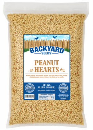Peanut-Hearts Peanut Hearts 25lb, Todd Marcus Birds Exotic, exotic bird feed, parrot food, macaw feed, cockatoo diet, natural peanut hearts, bulk bird food, protein bird food, healthy parrot snacks, bird nutrition, exotic pet supplies, premium bird nutrition, avian protein feed