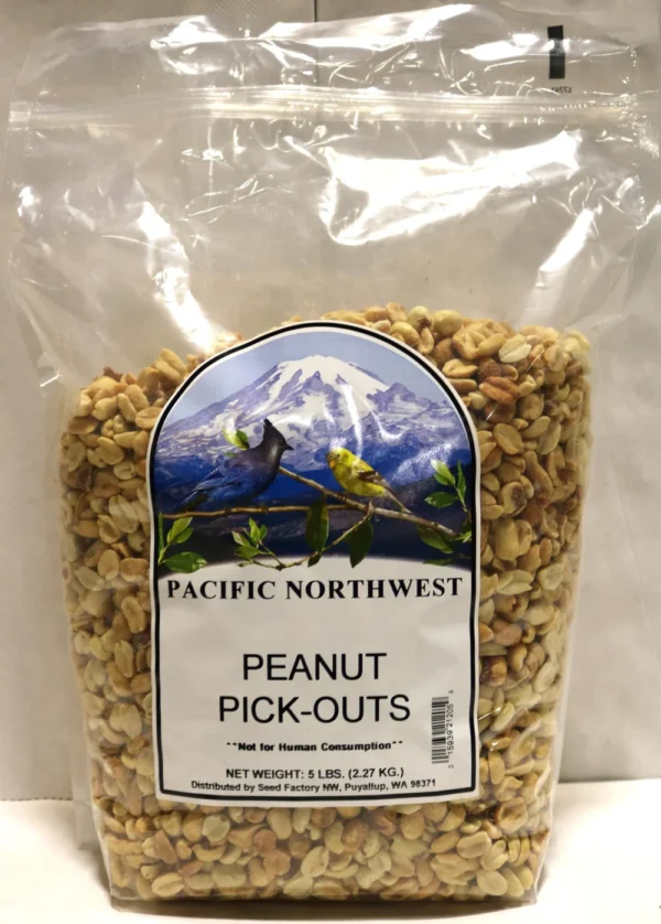 Peanut Pick Outs, parrot peanuts, macaw snack, cockatoo feed, amazon parrot food, Todd Marcus Birds Exotic, high-protein bird food, parrot beak enrichment, exotic bird nutrition, healthy parrot snack, training bird treats, mental stimulation bird food, natural bird nuts, unsalted peanuts for birds, interactive feeding, daily parrot snack Peanut Pick Outs, parrot peanuts, macaw snack, cockatoo feed, amazon parrot food, Todd Marcus Birds Exotic, high-protein bird food, parrot beak enrichment, exotic bird nutrition, healthy parrot snack, training bird treats, mental stimulation bird food, natural bird nuts, unsalted peanuts for birds, interactive feeding, daily parrot snack