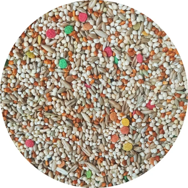 uccello-parakeet-complete-155012_1200x1200 Uccello Parakeet Complete, parakeet food, budgerigar feed, small exotic bird diet, Todd Marcus Birds Exotic, parakeet nutrition, daily parakeet diet, healthy parakeet feed, balanced bird food, parakeet pellets, seed pellet mix, small bird nutrition, energy and feather support, natural bird food, parakeet enrichment food, exotic bird feed