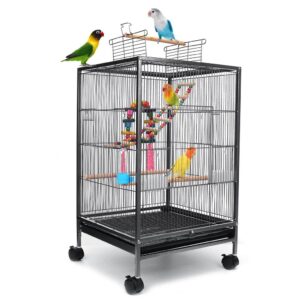 How to choose a bird cage Best bird cage for parrots Bird cage guide Parrot cage tips Cockatiel cage recommendations