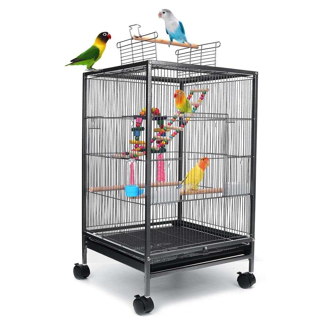 How to choose a bird cage Best bird cage for parrots Bird cage guide Parrot cage tips Cockatiel cage recommendations