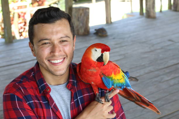 Bonding with your bird, parrot playtime, bird toys, bird enrichment, pet bird bonding, exotic birds, cockatiel care, hand-fed birds, bird cages, Todd Marcus Birds Exotic