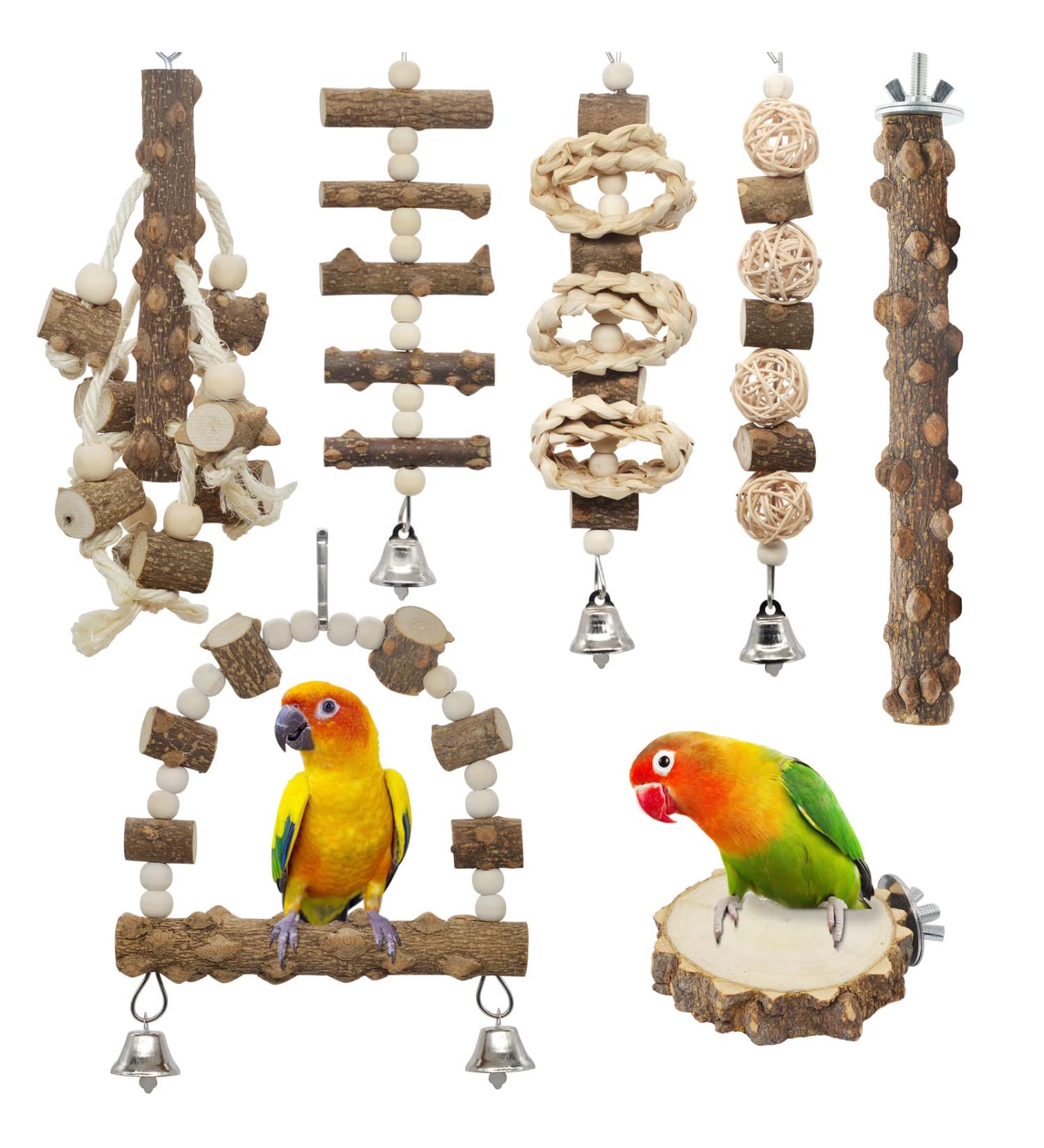 Bird perches, pet bird care, exotic birds, wooden perches, rope perches, cement perches, plastic perches, Todd Marcus Birds Exotic, parrot perches, bird toys and accessories