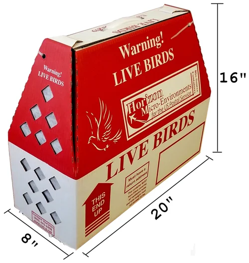 live-bird-shipping-box-measurements live bird shipping boxes, USPS approved bird box, Todd Marcus Birds Exotic, safe bird transport, bird travel box, parrot shipping box, finch shipping box, cockatiel carrier, eco-friendly bird box, durable bird container, ventilated bird shipping box, airline-approved bird box, exotic bird shipping, parakeet transport, USDA approved shipping box, professional bird shipping supplies, bird transport safety, USPS bird shipping, bulk shipping discounts, live animal packaging, bird travel carrier, trusted bird supplier, exotic bird shop USA, worldwide bird shipping, Todd Marcus Exotic Birds, bird breeder supplies, cage accessories, parrot transport box, premium bird packaging, bird handling safety, Todd Marcus Birds.