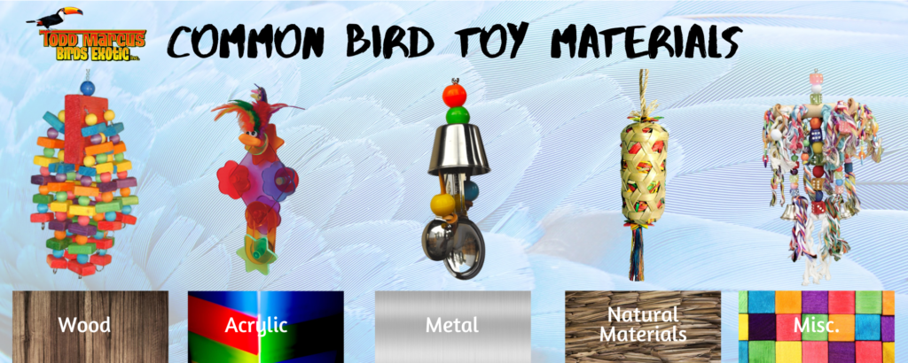 Todd-Marcus-Birds-Exotic_2020_Bird-Toy